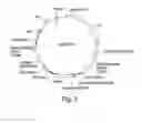 Fig. 04 - Recombinant expression vector elements (rEVEs) for enhancing expression of recombinant proteins in host cells