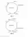 Fig. 08 - Recombinant expression vector elements (rEVEs) for enhancing expression of recombinant proteins in host cells