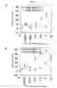 Fig. 31 - Fused Protein Composition