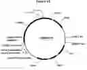 Fig. 16 - Polypeptides with starch debranching activity