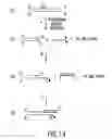 Fig. 17 - Methods and compositions for synthesis of nucleic acid molecules using multiple recognition sites