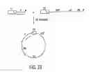 Fig. 49 - Methods and compositions for synthesis of nucleic acid molecules using multiple recognition sites