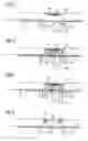 Fig. 03 - PCR process and arrangement for DNA amplification using dry reagents