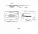 Fig. 07 - Method for the amplification and detection of HBV DNA using a transcription based amplification