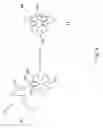 Fig. 04 - Modified surfaces for immobilization of active molecules