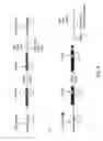 Fig. 06 - Modified surfaces for immobilization of active molecules