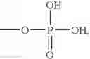 Fig. 08 - Modified surfaces for immobilization of active molecules