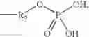 Fig. 10 - Modified surfaces for immobilization of active molecules