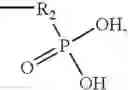 Fig. 11 - Modified surfaces for immobilization of active molecules