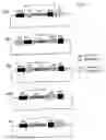 Fig. 02 - Vector constructs