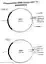 Fig. 04 - Vector constructs