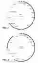 Fig. 06 - Application of Glucose Transport Mutants For Production Of Aromatic Pathway Compounds
