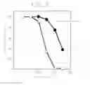 Fig. 04 - Process for producing isomaltose and uses thereof