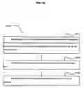Fig. 36 - Microfluidic chips for pathogen detection