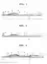 Fig. 02 - CHROMATOGRAPHIC TEST DEVICE AND METHOD FOR DETECTING ANALYTE