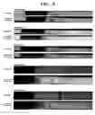 Fig. 05 - CHROMATOGRAPHIC TEST DEVICE AND METHOD FOR DETECTING ANALYTE