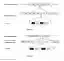 Fig. 11 - Multiple Gene Expression For Engineering Novel Pathways And Hyperexpression Of Foreign Proteins in Plants