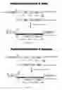 Fig. 12 - Multiple Gene Expression For Engineering Novel Pathways And Hyperexpression Of Foreign Proteins in Plants