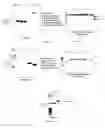 Fig. 13 - Multiple Gene Expression For Engineering Novel Pathways And Hyperexpression Of Foreign Proteins in Plants