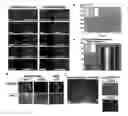 Fig. 01 - Defined media for pluripotent stem cell culture