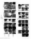 Fig. 03 - Defined media for pluripotent stem cell culture