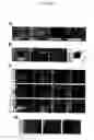 Fig. 06 - Defined media for pluripotent stem cell culture