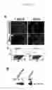 Fig. 07 - Defined media for pluripotent stem cell culture