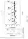 Fig. 36 - Method of promoting differentiation of one or more human stem cells into human coronary endothelial cells on a synthetic tubular structure