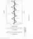 Fig. 33 - Method of promoting differentiation of one or more human stem cells into human coronary endothelial cells on a synthetic tubular structure