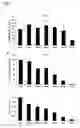 Fig. 04 - Use of biocistronic DNA constructs for identifying compounds that inhibit IRES-dependent translation