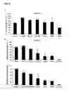 Fig. 05 - Use of biocistronic DNA constructs for identifying compounds that inhibit IRES-dependent translation