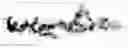 Fig. 01 - Three-Dimensional Self Assembly in Suspension of Adherent Cells