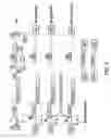 Fig. 06 - Method and means for producing high titer, safe, recombinant lentivirus vectors