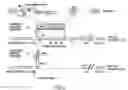 Fig. 07 - Method and means for producing high titer, safe, recombinant lentivirus vectors
