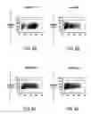 Fig. 09 - Method and means for producing high titer, safe, recombinant lentivirus vectors