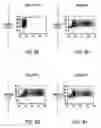 Fig. 10 - Method and means for producing high titer, safe, recombinant lentivirus vectors