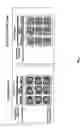 Fig. 07 - Multianalyte Molecular Analysis Using Application-Specific Random Particle Arrays