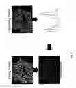 Fig. 09 - Multianalyte Molecular Analysis Using Application-Specific Random Particle Arrays