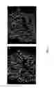 Fig. 15 - Multianalyte Molecular Analysis Using Application-Specific Random Particle Arrays