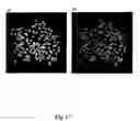 Fig. 18 - Multianalyte Molecular Analysis Using Application-Specific Random Particle Arrays