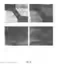 Fig. 29 - Multianalyte Molecular Analysis Using Application-Specific Random Particle Arrays