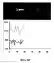 Fig. 24 - AUTOMATED SYNTHESIS OR SEQUENCING APPARATUS AND METHOD FOR MAKING AND USING SAME