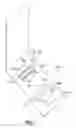 Fig. 06 - FECAL SAMPLING DEVICE AND METHOD