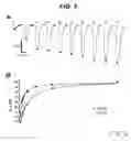 Fig. 06 - Intestinal folate transporter method