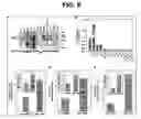 Fig. 07 - Intestinal folate transporter method