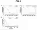 Fig. 09 - Intestinal folate transporter method