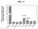 Fig. 12 - Intestinal folate transporter method