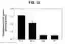 Fig. 13 - Intestinal folate transporter method