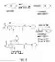 Fig. 06 - Mycophenolate mofetil impurity