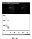 Fig. 05 - METHOD AND APPARATUS FOR MOVING STAGE DETECTION OF SINGLE MOLECULAR EVENTS